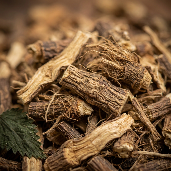 Cut dried nettle root