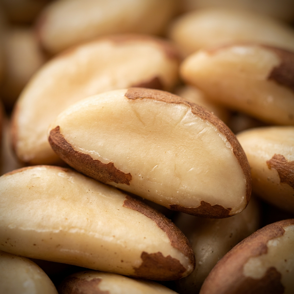 Brazil nuts, a natural selenium source