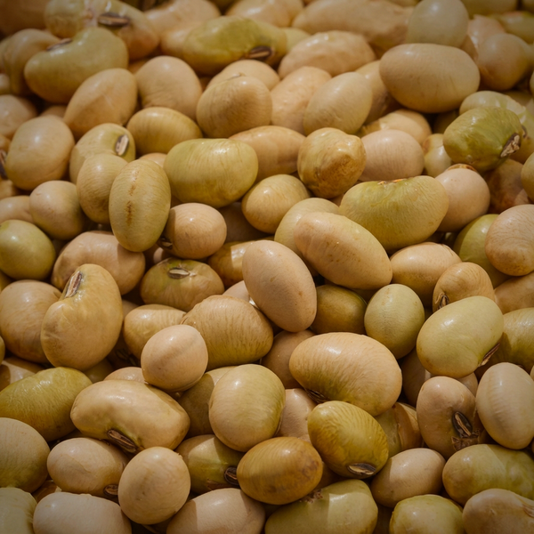 Dry natto soybeans