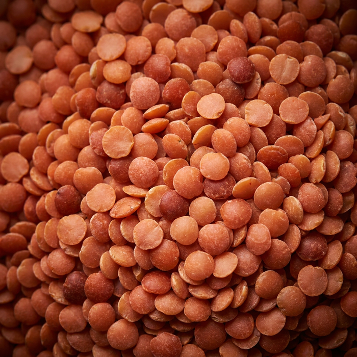Dry red lentils