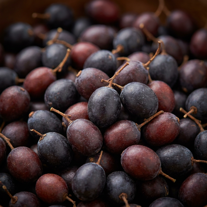 Ripe saw palmetto berries